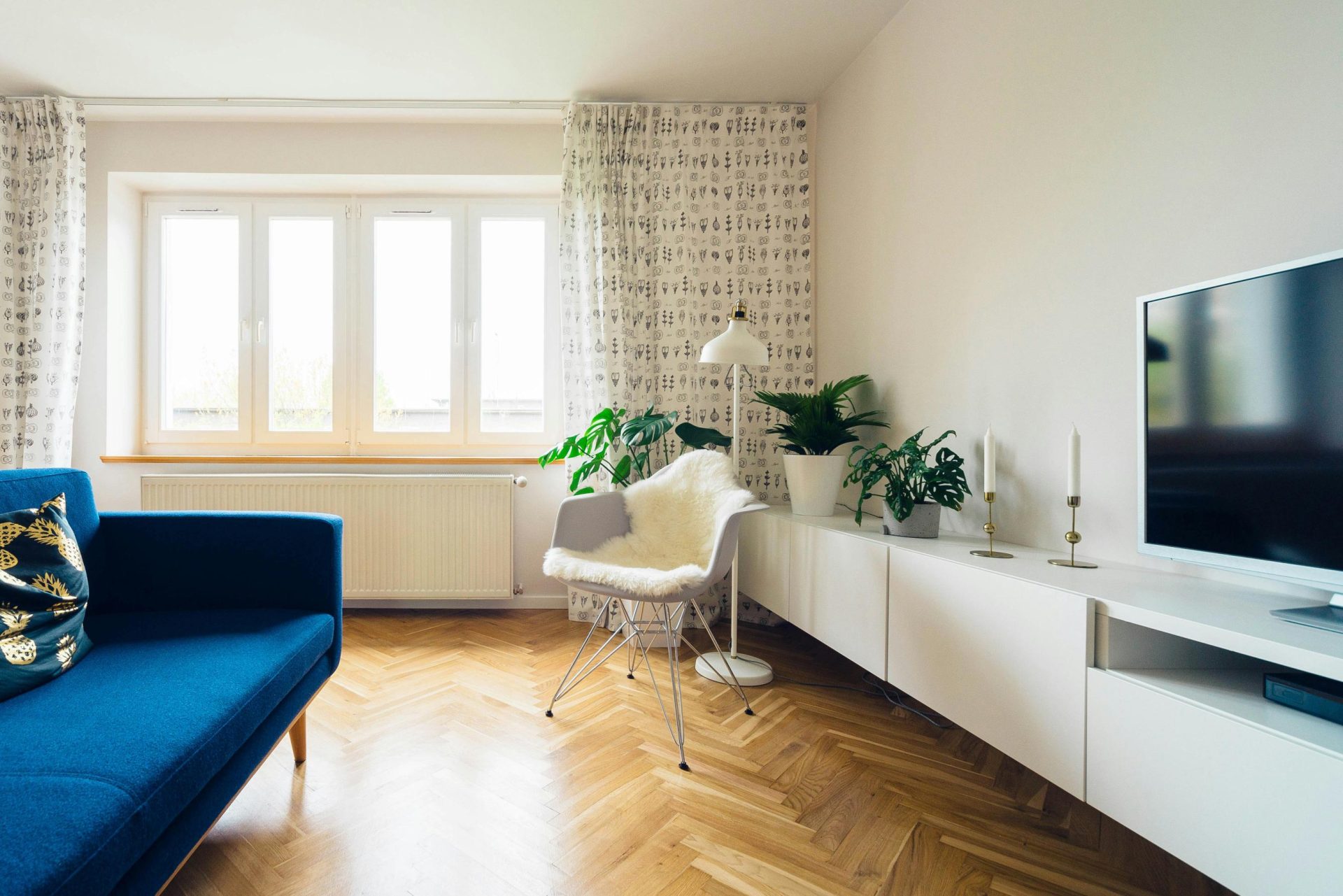 Cozy living room with blue couch and plants